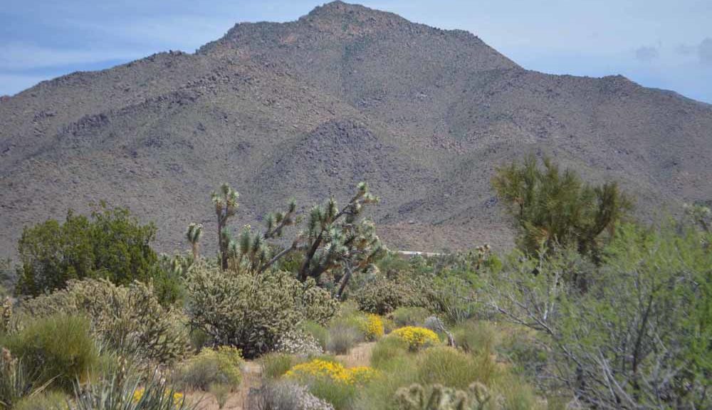 Mohave County  Amazing Arizona Land Company