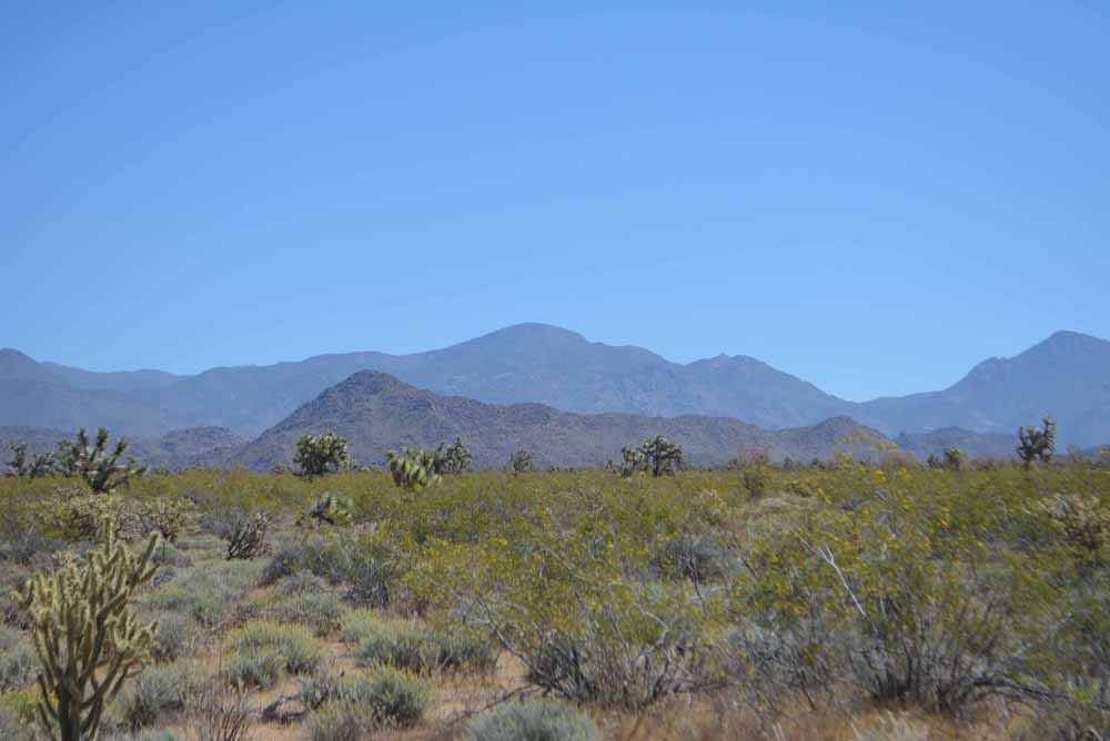 Mohave County | Amazing Arizona Land Company