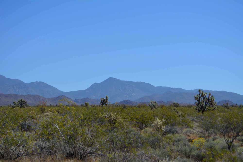 Mohave County  Amazing Arizona Land Company